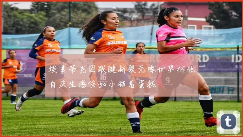 埃基蒂克因跟腱断裂无缘世界杯独自庆生感伤如小猫看蛋糕